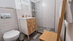 a bathroom with a toilet and a shower and a sink at Maris Apartment in Târgu-Mureş +16 photos