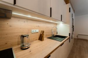 a kitchen with a counter top with a blender on it at Apartmány Mlýn Herlíkovice in Hořejší Vrchlabí