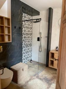 a bathroom with a shower with a glass door at Apartament Lakshmi- Villa Vinci in Jelenia Góra