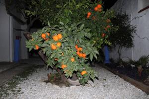 Gallery image of Les Portes in Xàtiva