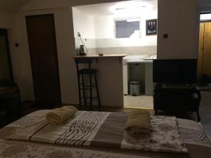 Kuchyň nebo kuchyňský kout v ubytování Apartman Birboni Pul ZEMUN