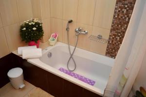 een badkamer met een bad en een douche bij Meltemi Beach Apartments 2 in Milatos
