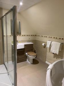 uma casa de banho com um WC, um lavatório e um chuveiro em The Powfoot Hotel, Annan em Annan