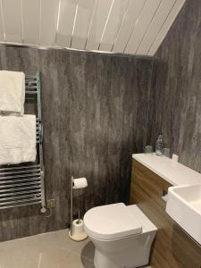 a bathroom with a white toilet and a sink at The Powfoot Hotel, Annan in Annan