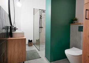 a bathroom with a toilet and a green wall at Apartament na Wzgórzu in Kudowa-Zdrój