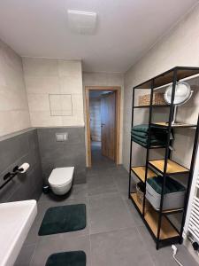 Koupelna v ubytování Krkonoše - apartmán s výhledem + 15 fotografií