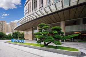 a pine tree in front of a building at Wyndham Foshan Shunde in Shunde