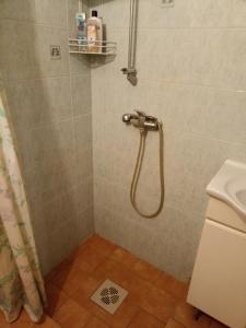 Leisi的住宿－Kuus Tuba，浴室内配有淋浴和头顶淋浴