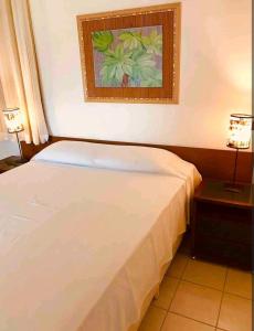 a bedroom with a bed and a picture on the wall at Angra dos Reis - Porto Bali - Apartamento no Complexo Mercur in Angra dos Reis