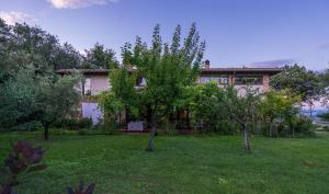una casa con un patio con árboles delante de ella en IL Fienile - Tuscany, en San Giovanni Valdarno