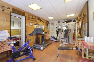een fitnessruimte met fietsen en fitnessapparatuur in een kamer bij Les Cygnes in Évian-les-Bains