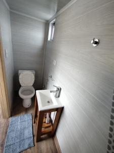 a bathroom with a toilet and a sink at Sabático Glamping in Tunuyán