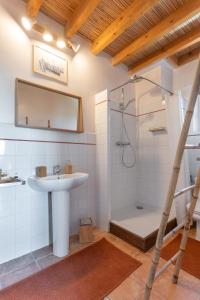 a bathroom with a sink and a shower at Domaine de Barbe - Chambre Lin in Salles-sous-Bois