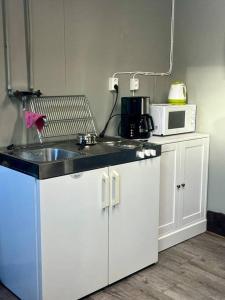 Virtuvė arba virtuvėlė apgyvendinimo įstaigoje Borgane 5