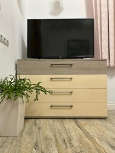 een televisie bovenop een dressoir met een plant bij Cazare central Sinaia, Romania in Sinaia