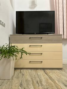 a television on top of a dresser with a plant at Cazare central Sinaia, Romania in Sinaia