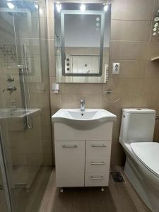 een badkamer met een wastafel, een toilet en een spiegel bij Cazare central Sinaia, Romania in Sinaia