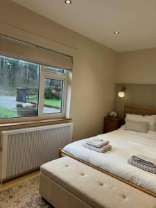 um quarto com uma cama e uma grande janela em Favour Royal Cottage - dog friendly forest escape em Derrygorry