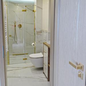 a bathroom with a shower and a toilet and a sink at Apartamenty u Roxi in Jelenia Góra
