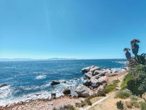 a rocky shore with palm trees and the ocean at Timber's Ocean House in Simonʼs Town