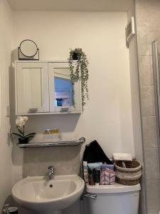 a bathroom with a sink and a toilet and a mirror at Cosy 1 bed flat, Bham City + Free Parking, Sleeps2 in Birmingham