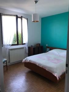 a bedroom with a bed and a blue wall at Comme chez Mamie, maison entière 1-6 personnes in Alby