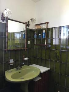 a green bathroom with a sink and a mirror at Comme chez Mamie, maison entière 1-6 personnes in Alby