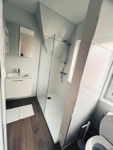 a bathroom with a shower and a sink and a toilet at Studio Bella in De Panne