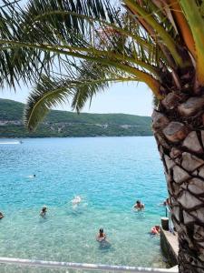 a group of people swimming in a body of water at Villa Grande in Neum +94 photos