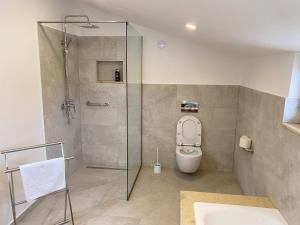 a bathroom with a shower with a toilet and a sink at Casa Sofia in Satu Mare +42 photos