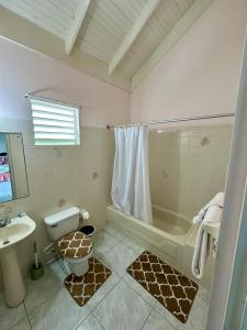 ein Badezimmer mit einer Badewanne, einem WC und einem Waschbecken in der Unterkunft Apartment w/pool 10mins from Duns River Falls in Saint Mary