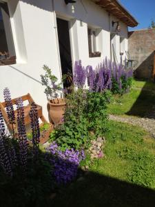 un jardín con flores púrpuras junto a una casa en Capriche Departamento Temporario, en Río Gallegos