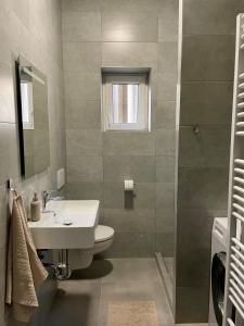 bagno con lavandino e servizi igienici di Apartmán Josefská a Brno