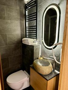 a bathroom with a sink and a toilet and a mirror at Richmount Apartamenty Karpacz in Karpacz