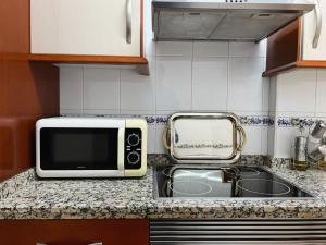 eine Küchentheke mit Mikrowelle und Spüle in der Unterkunft El rincón de Jesús y Loli in Córdoba