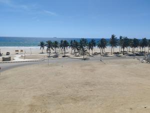 a sandy beach with palm trees and the ocean at الشقة البحرية الدهاريز in Salalah