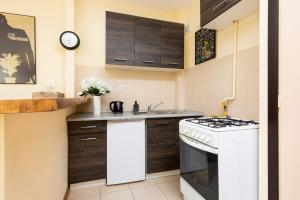A kitchen or kitchenette at City Center Studio in Warsaw by Renters