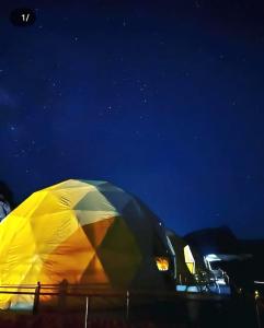 a tent is set up in a field at night at RUM ROYAL FLOWER lUXURY CAMP in Wadi Rum