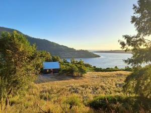 a small house on a hill next to a body of water at Refugio Golondrina in Futrono