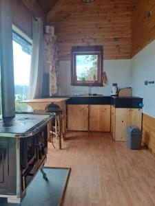 a kitchen with a stove and a sink in a room at Refugio Golondrina in Futrono