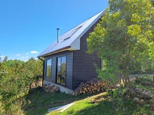 uma pequena cabina com um telhado inclinado e janelas em Refugio Golondrina em Futrono