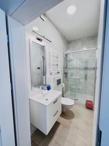 W łazience znajduje się umywalka, toaleta i prysznic. w obiekcie Apartamenty Pokoje Willa Bielany w Warszawie