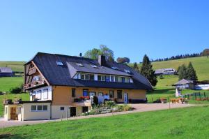 a house with a black roof on a green field at Sport Rees - Ferienwohnung Pia in Hofsgrund