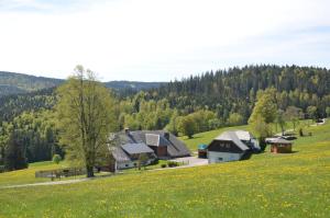 uma casa numa colina com um campo de flores em Sport Rees - Ferienwohnung Ulrike em Hofsgrund