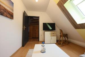 a attic living room with a television and a horse statue at Meerzeit in Schülp