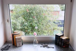 a window with books and a vase with a flower at Meerzeit in Schülp +6 photos