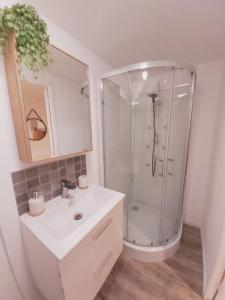 a white bathroom with a shower and a sink at Duplex Cosy 2 in Gouesnou +8 photos