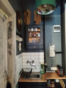 una pequeña cocina con fregadero y encimera en Blumen Apartment, en Budapest