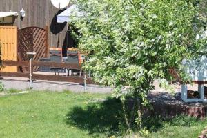 un árbol en un patio con un banco y una mesa en Ferienhaus Caro, en Federow