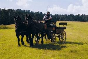 un hombre en un carruaje tirado por caballos en un campo en Landhaus Damerow 1, en Federow